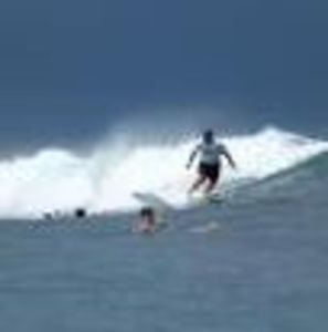 Meet your Posher, Sam